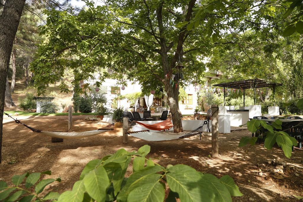 Cortijo De Ramon Guest House Cortijos Nuevos Екстериор снимка
